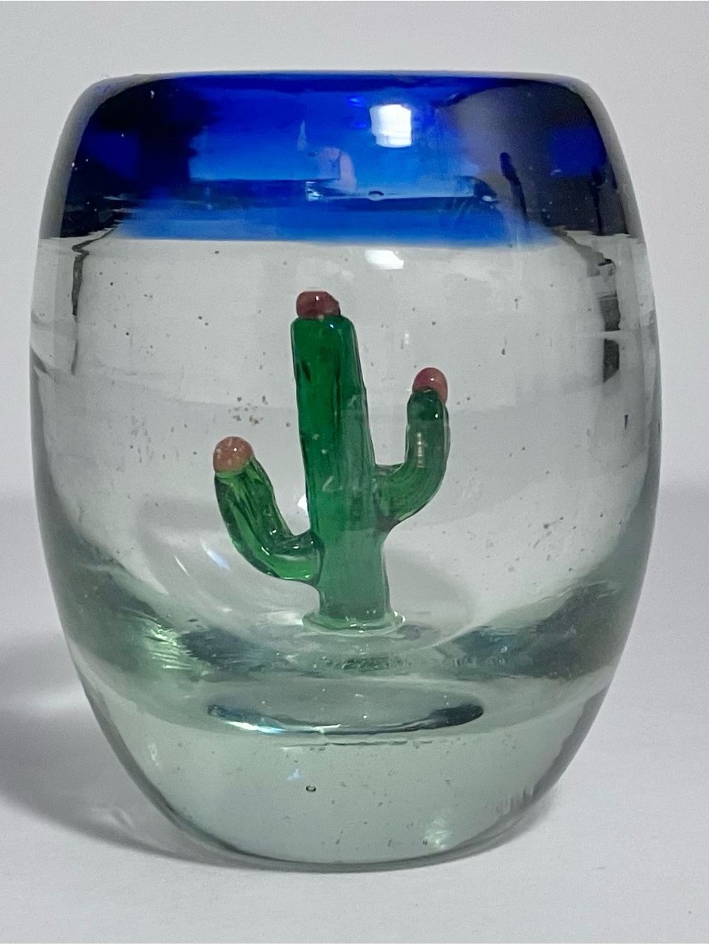 MEXICO TEQUILA Shot Glass / HAND BLOWN With MINI SAGUARO CATUS Inside / VINTAGE